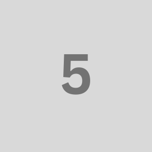 5 (5)